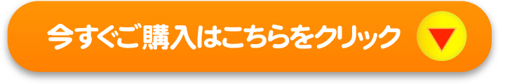 小型犬コース