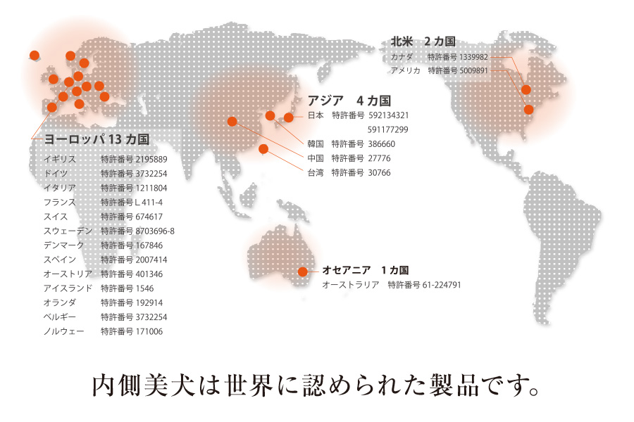 世界20カ国で特許を取得