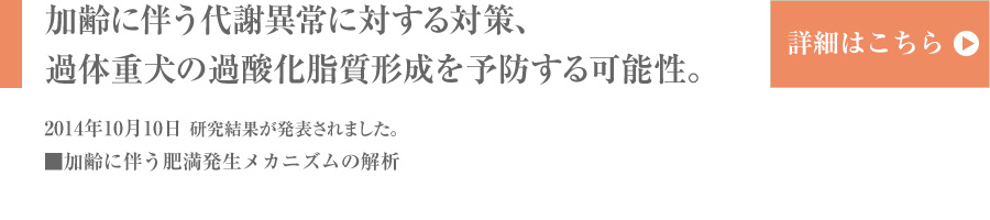 内加齢に伴う代謝異常に対する対策、過体重犬の過酸化脂質形成を予防する可能性。