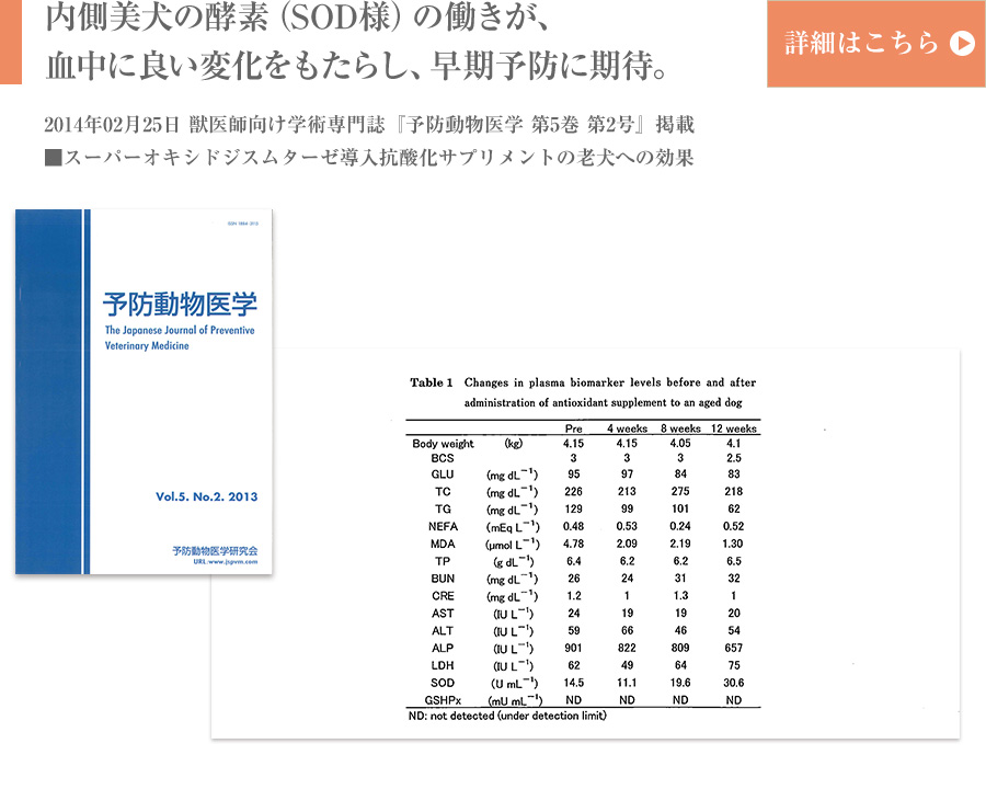 内側美犬の酵素（SOD様）の働きが、血中に良い変化をもたらし、早期予防に期待。