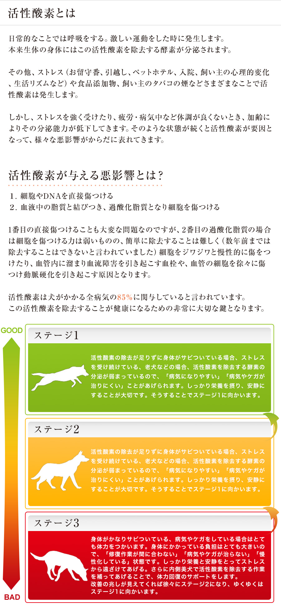 活性酸素について