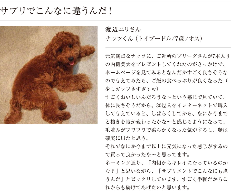 「内側美犬」をご愛用いただいている方のお声を紹介します。